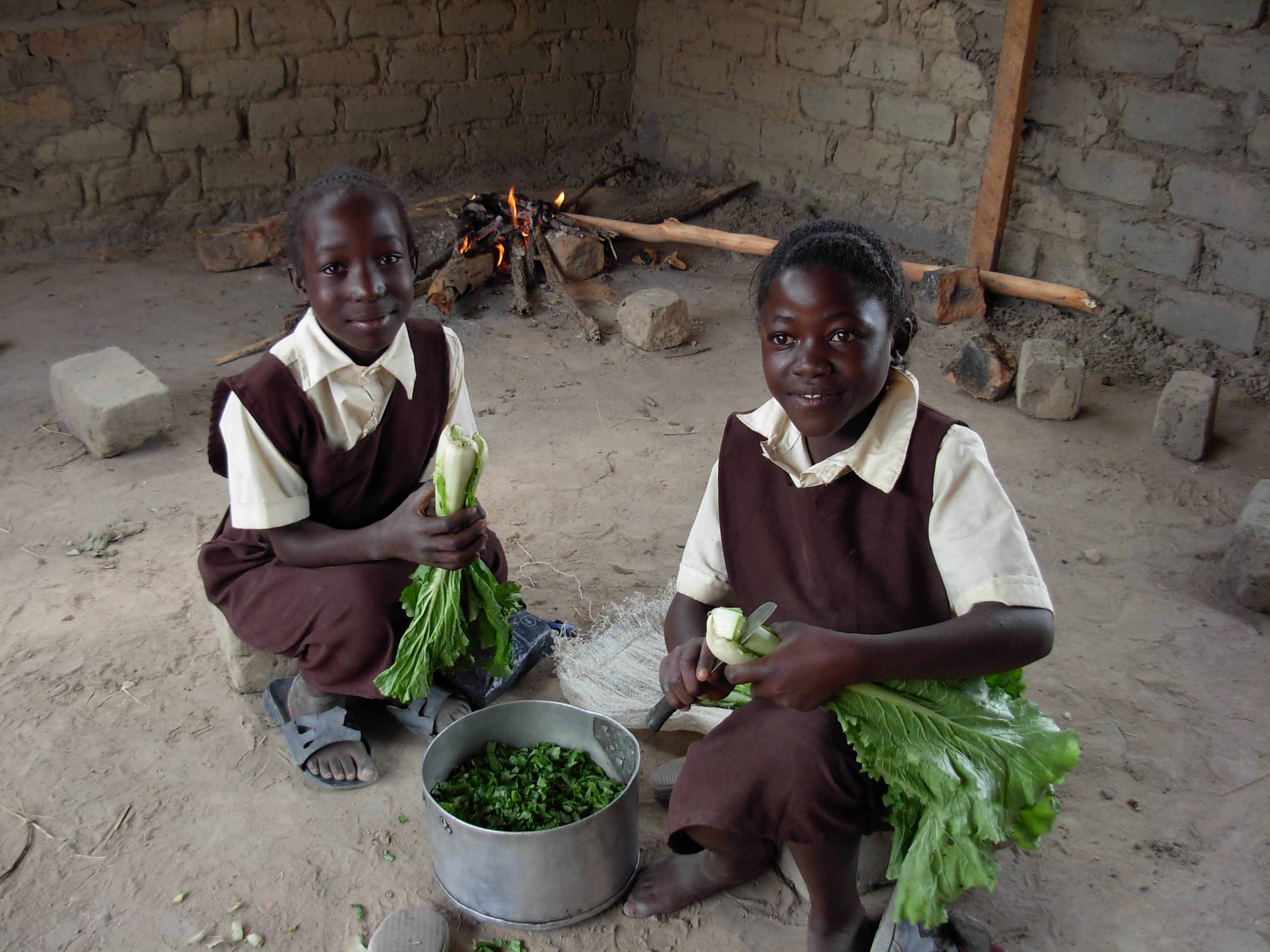 Lord Mayor’s Appeal